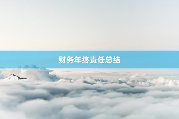 财务年终责任总结
